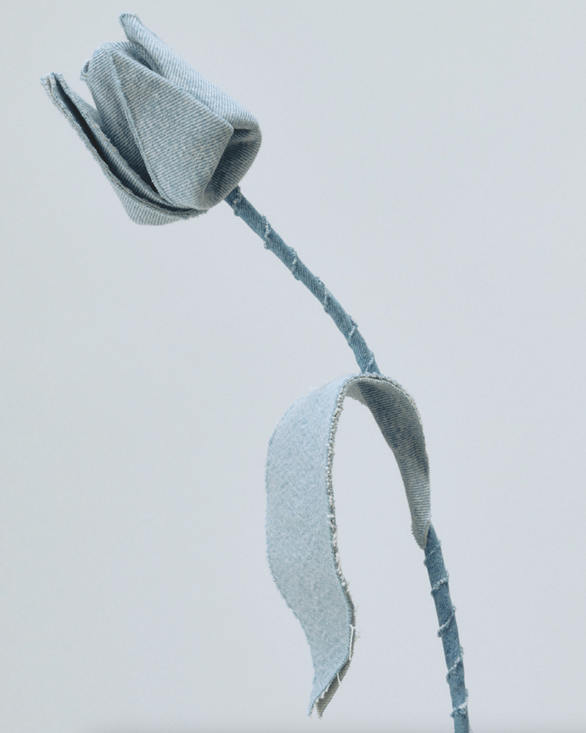 Earth Day 2025: Invest in Fashion That Endures