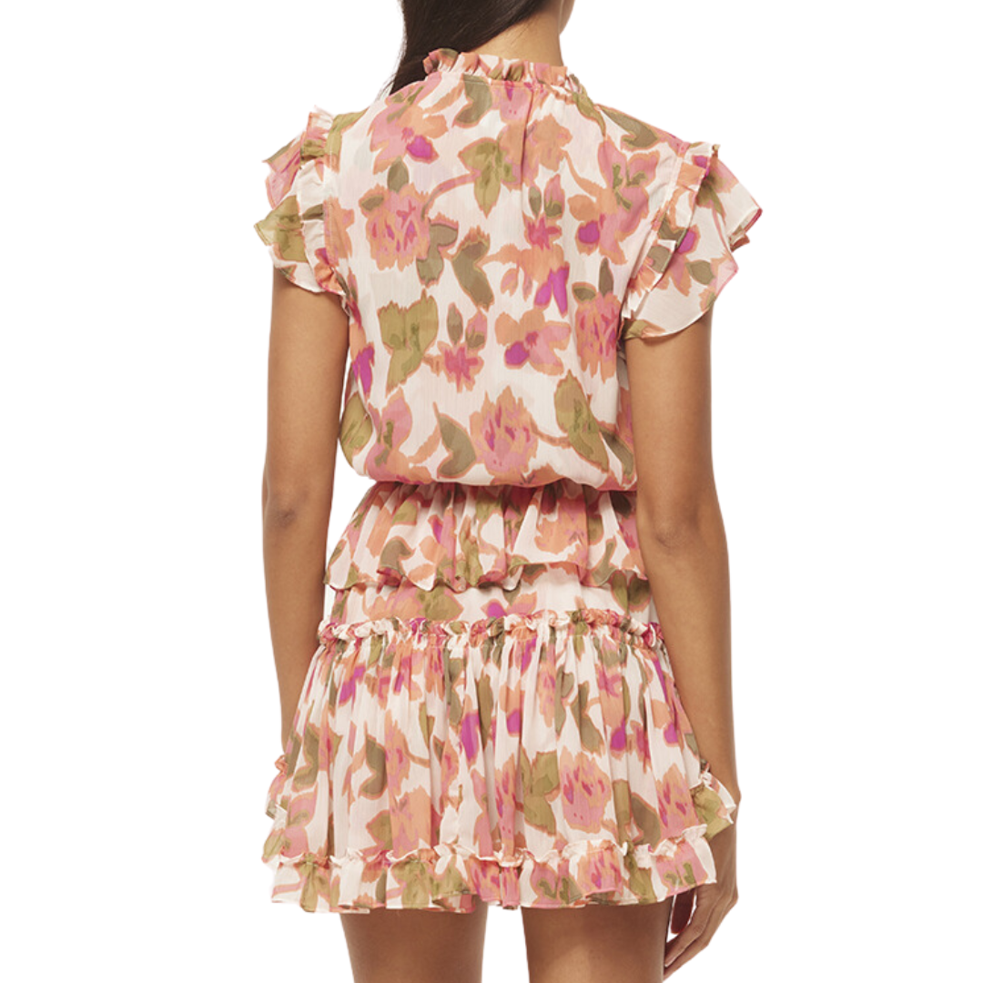 Lilian Dress in Sonoran Flora Chiffon