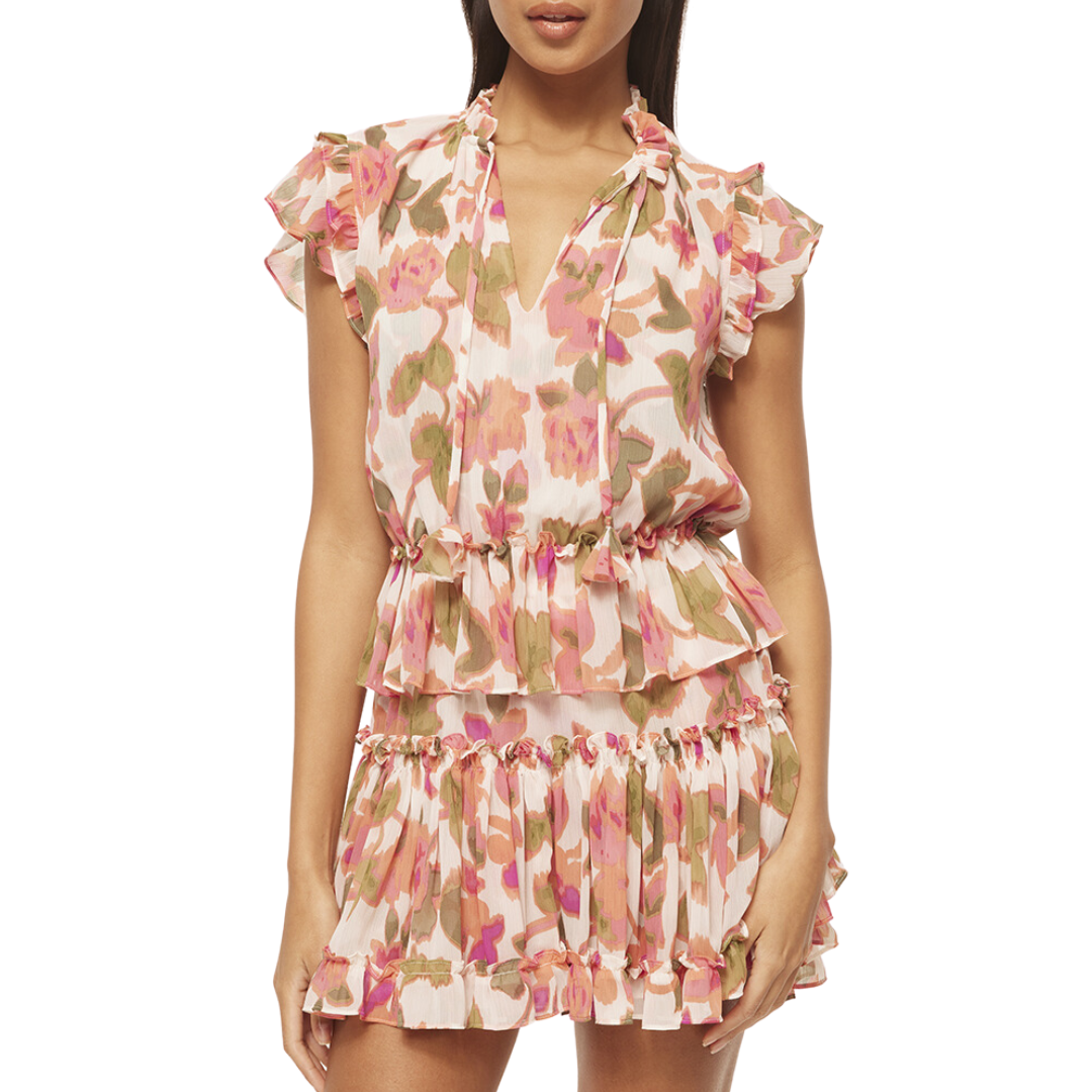 Lilian Dress in Sonoran Flora Chiffon