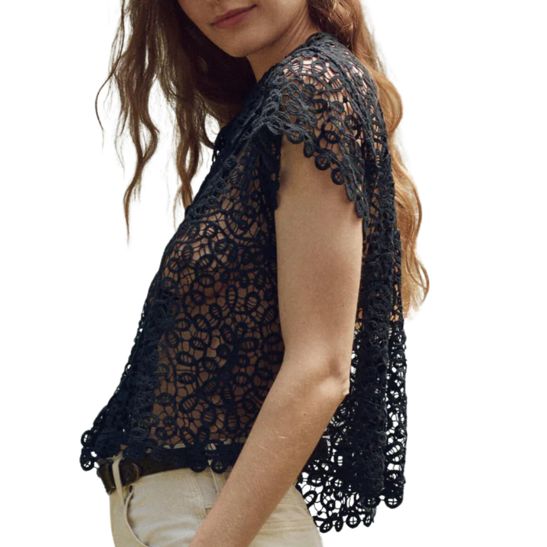 The Lattice Top in Navy