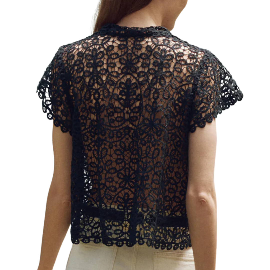 The Lattice Top in Navy