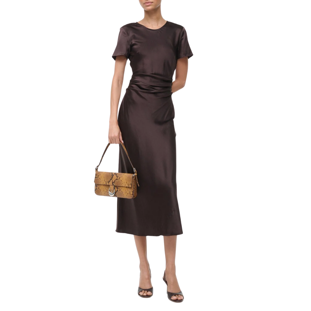 Marcel Silk Dress in Earth