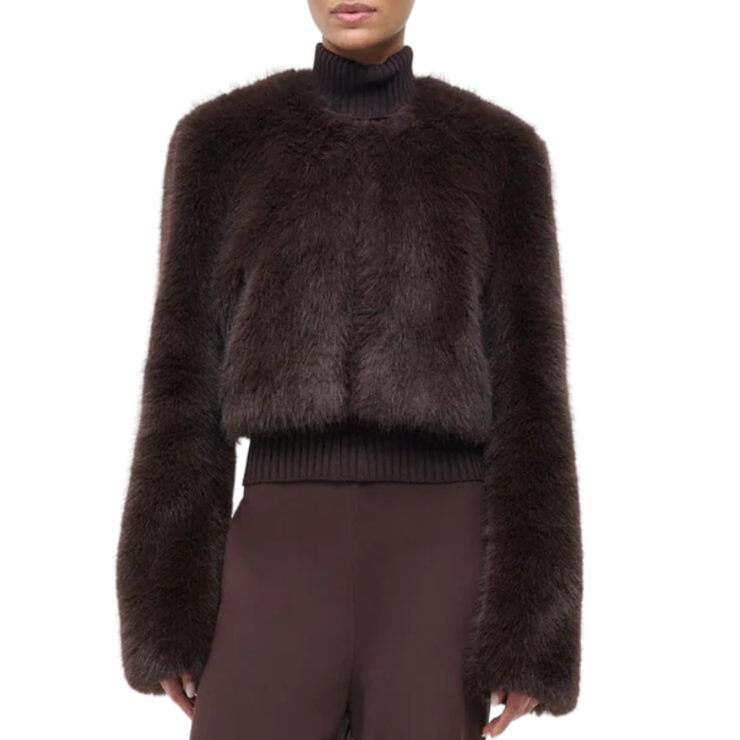 Casimira Jacket in Earth