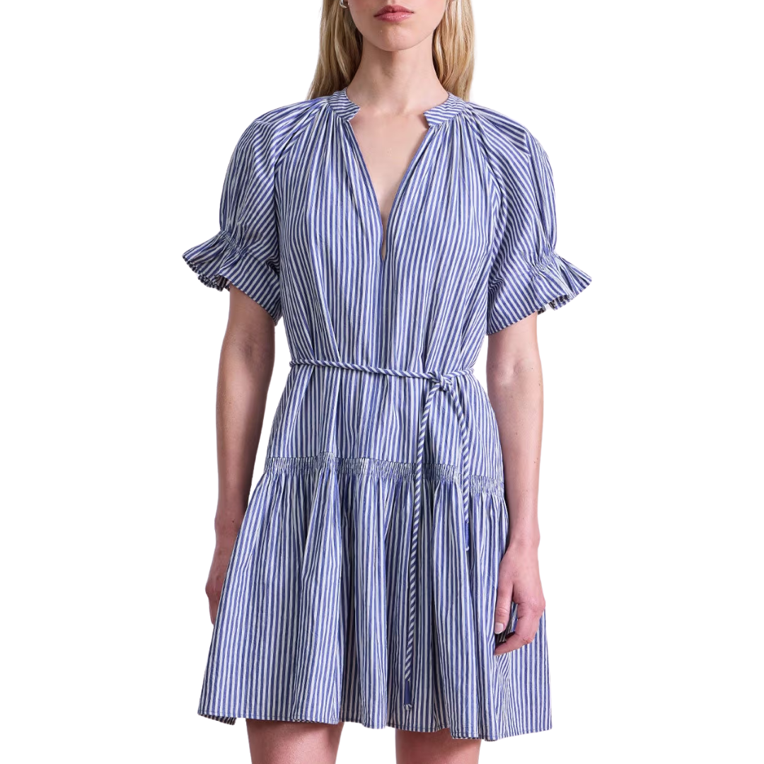 Marza Mini Dress in Skinny Stripes