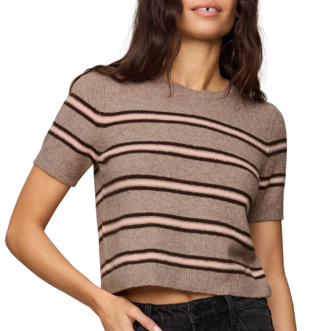 Gatewood Stripe Sweater Tee in Heather Ash
