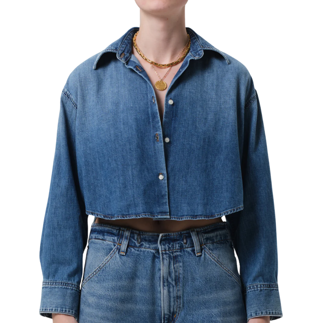 Ana Cropped Shirt in Somerset