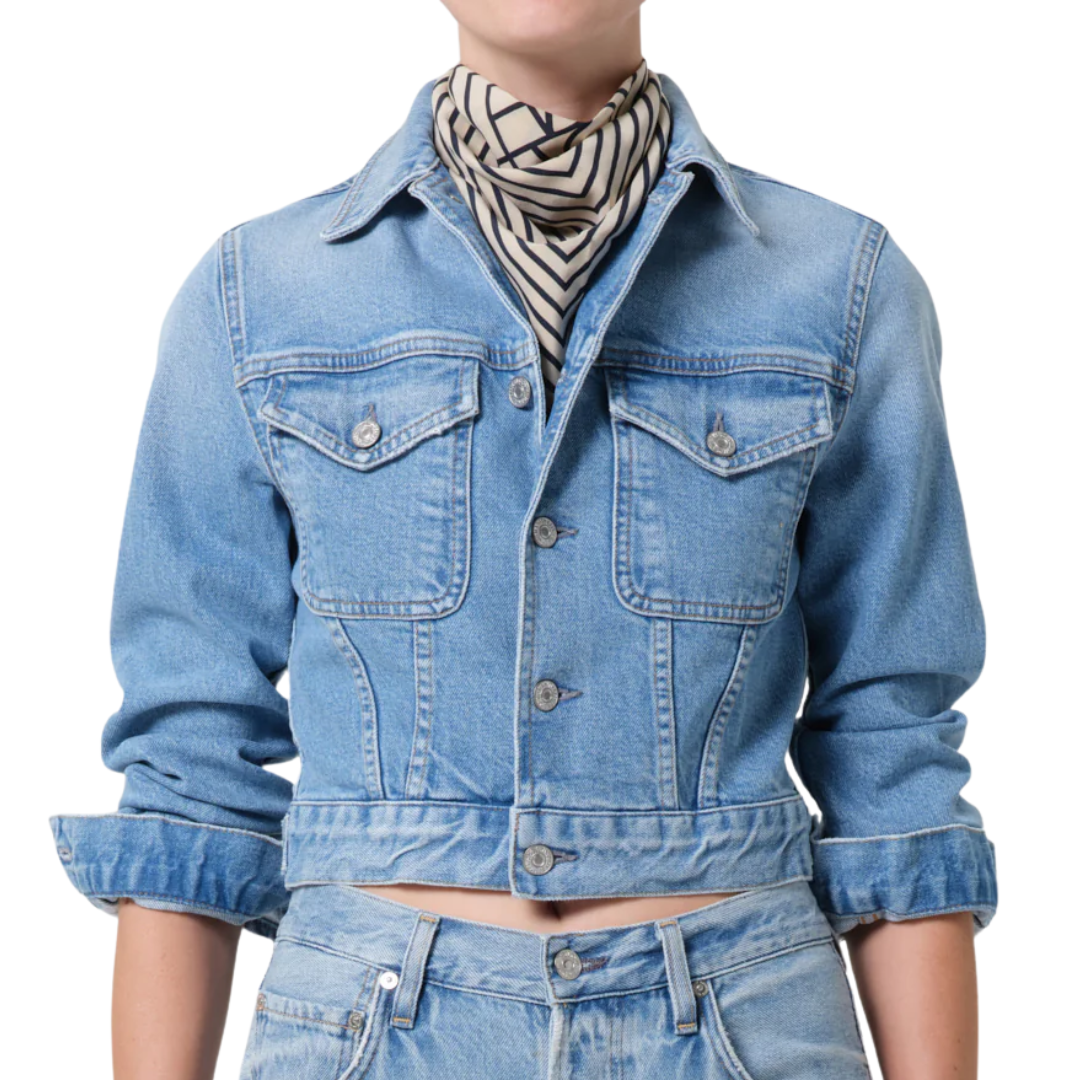 Charisse Shrunken Jacket in Sparrow