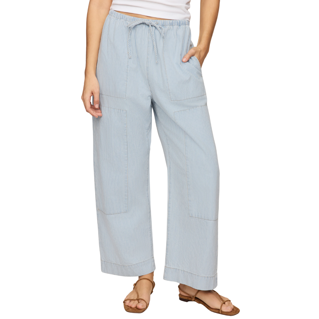 Soft Denim Carpenter Pant in Seaboard Stripe