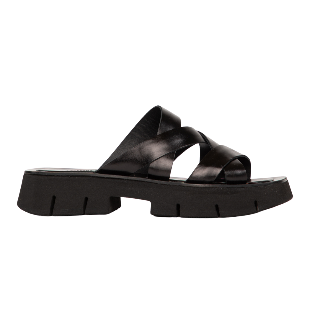Philos in Sierra Black