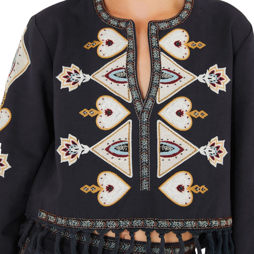 Embroidered Long Sleeve Fringe Crop Top in Bird Leaves