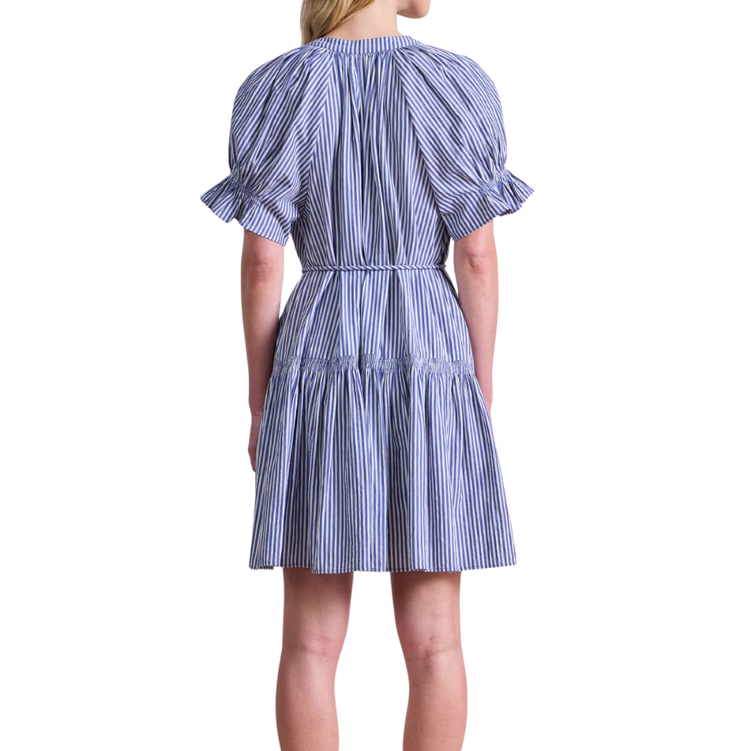 Marza Mini Dress in Skinny Stripes