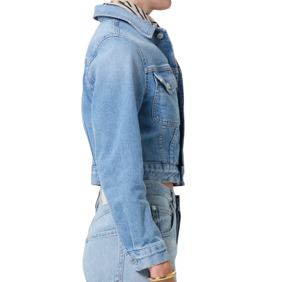 Charisse Shrunken Jacket in Sparrow