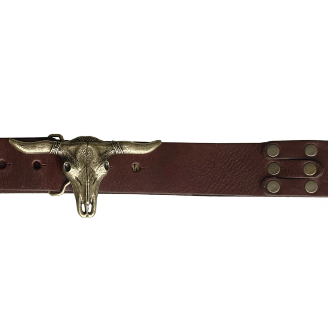 Steer Belt in Chocolate