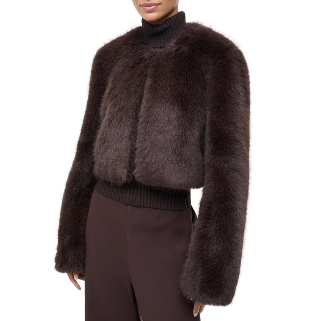 Casimira Jacket in Earth