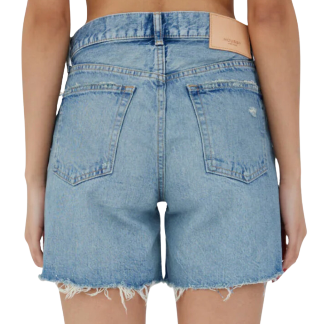 Graterford Shorts in Blue