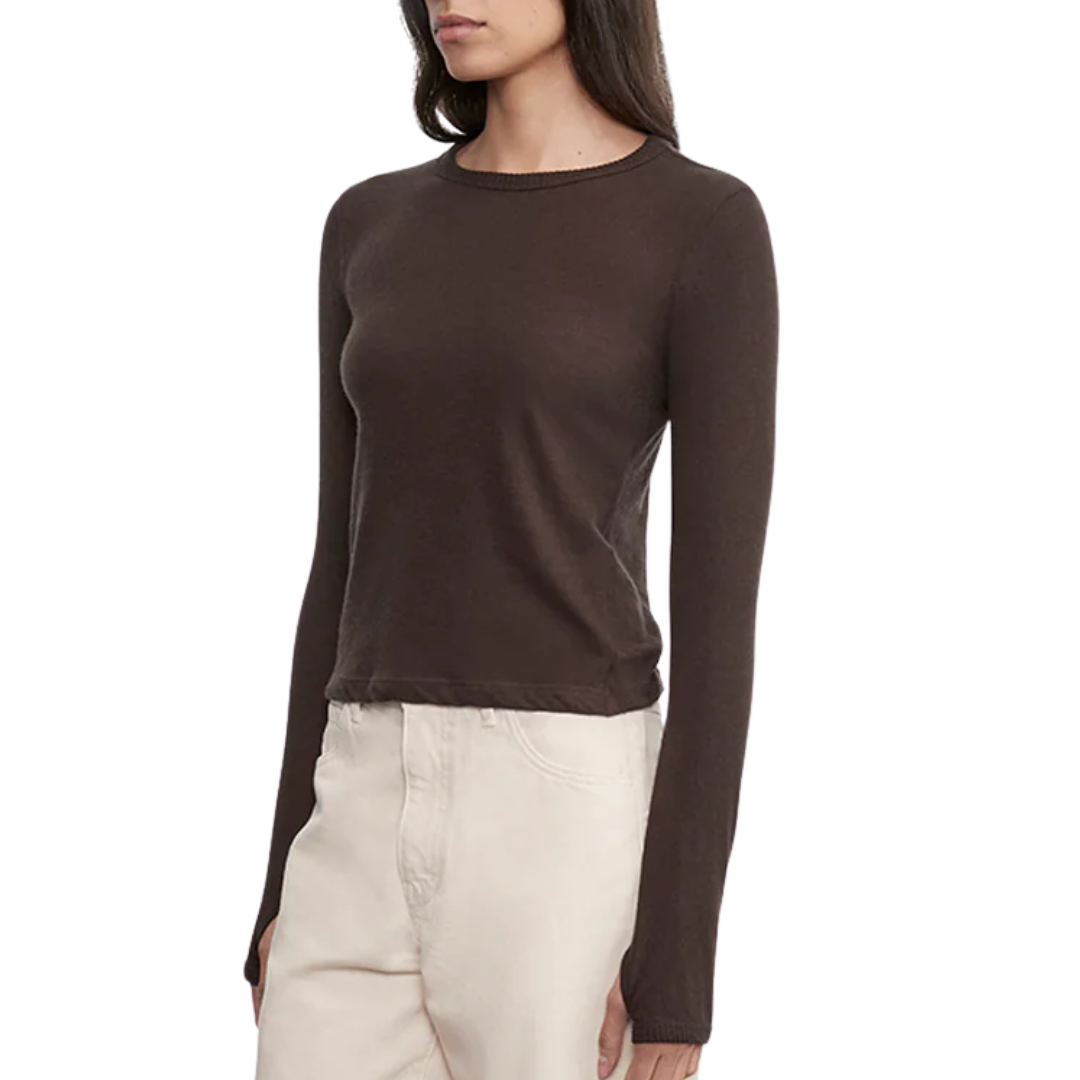 Cashmere New Classic L/S Crew in Dark Brown