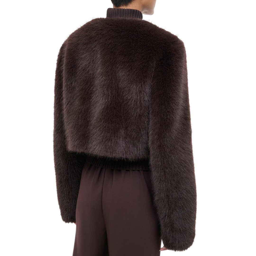 Casimira Jacket in Earth