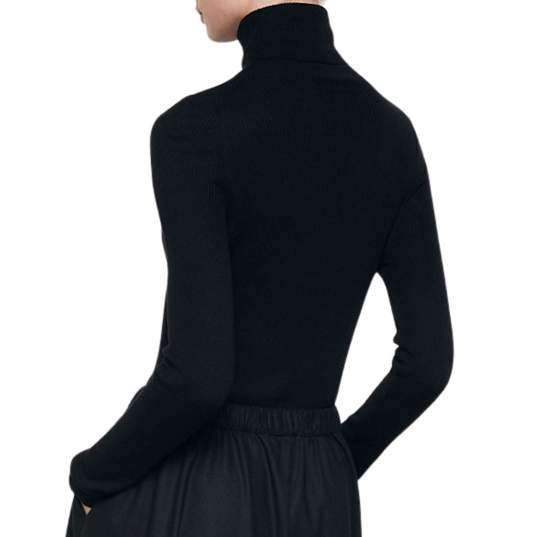 Silk Sweater Turtleneck in Black