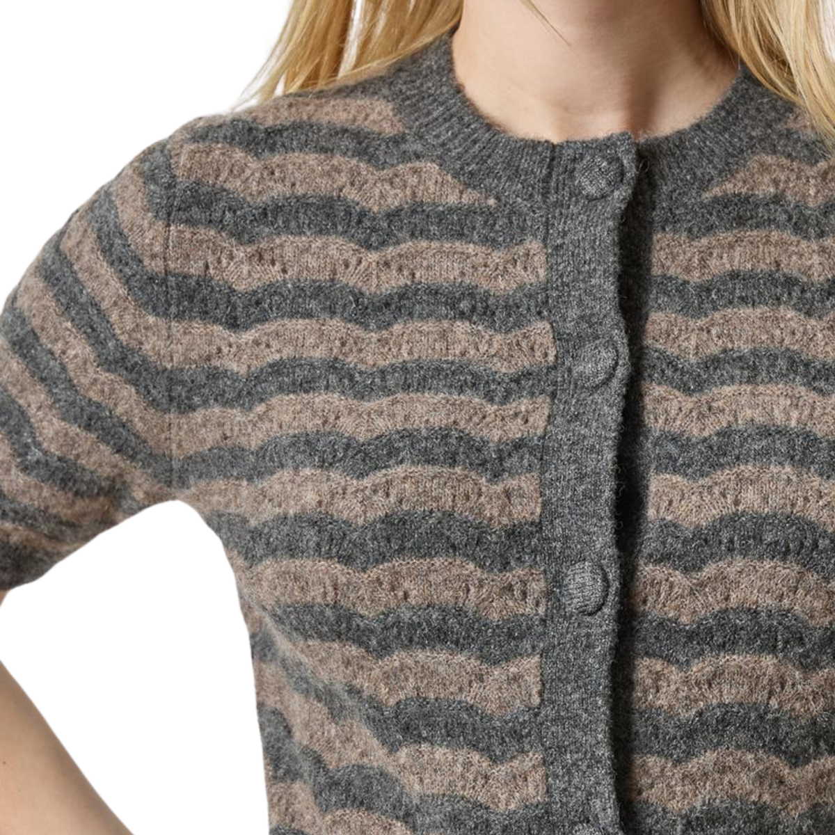 Short Sleeve Crewneck Cardigan in Graphite Stripe