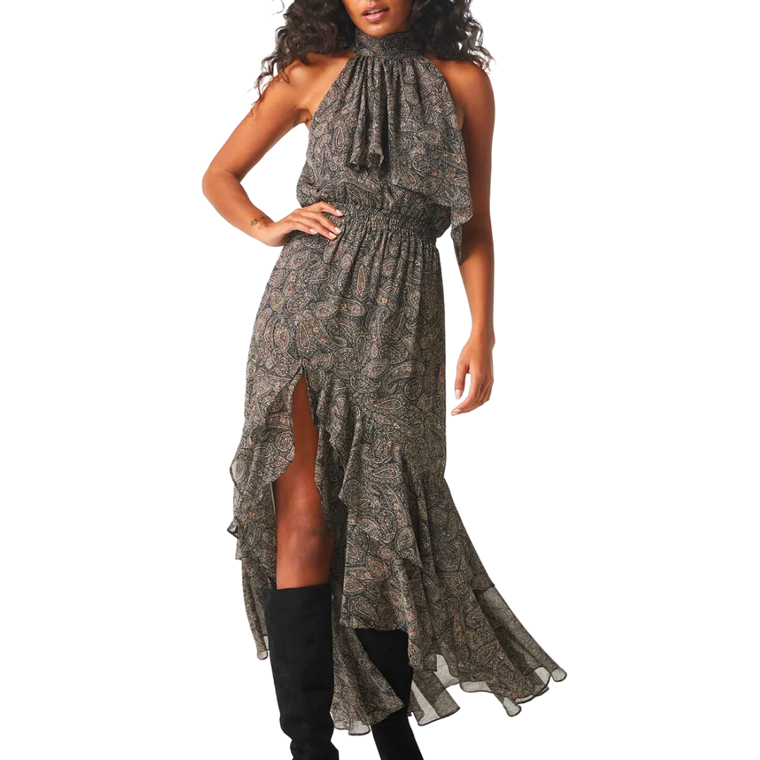 Aneva Dress in Paisley Shimmer