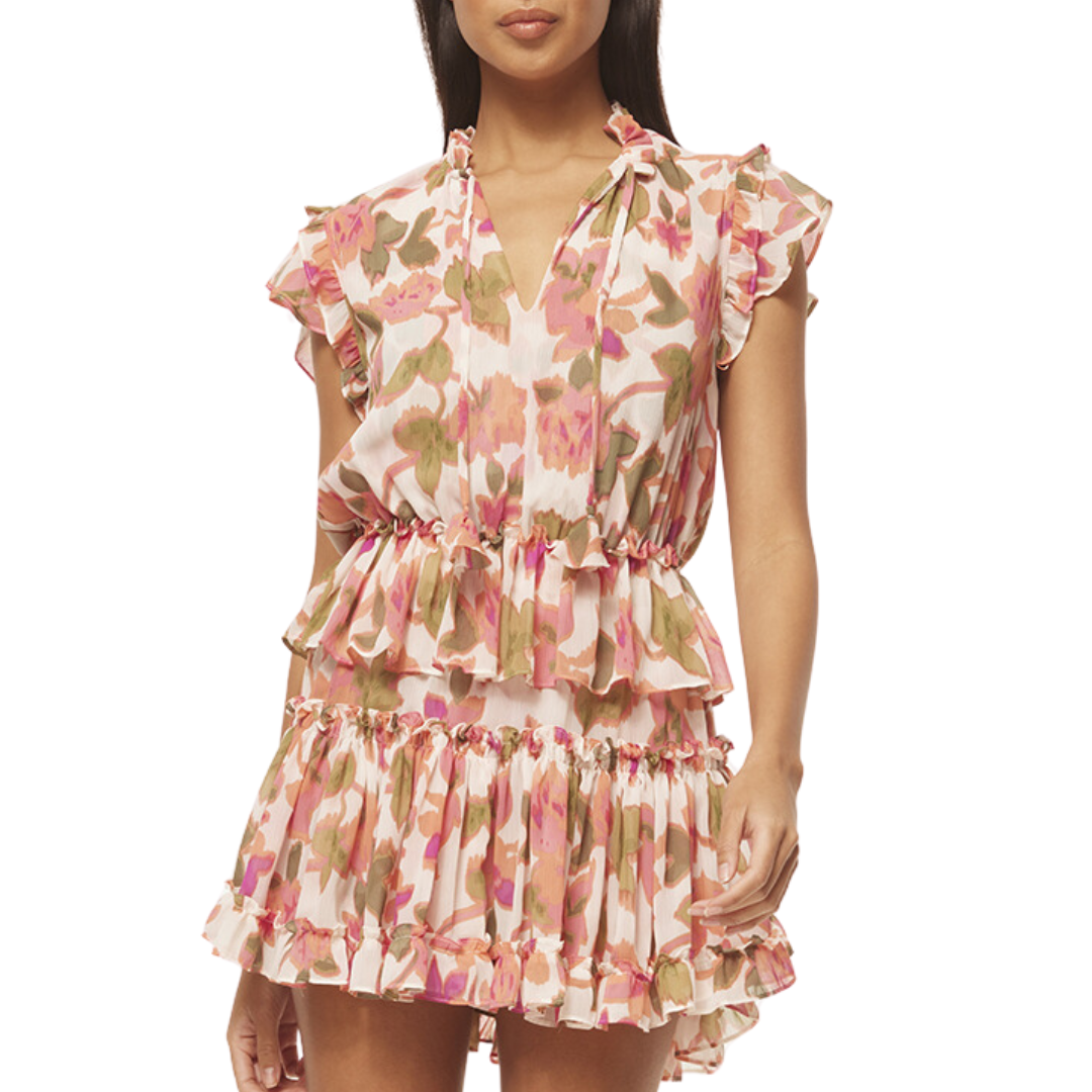 Lilian Dress in Sonoran Flora Chiffon