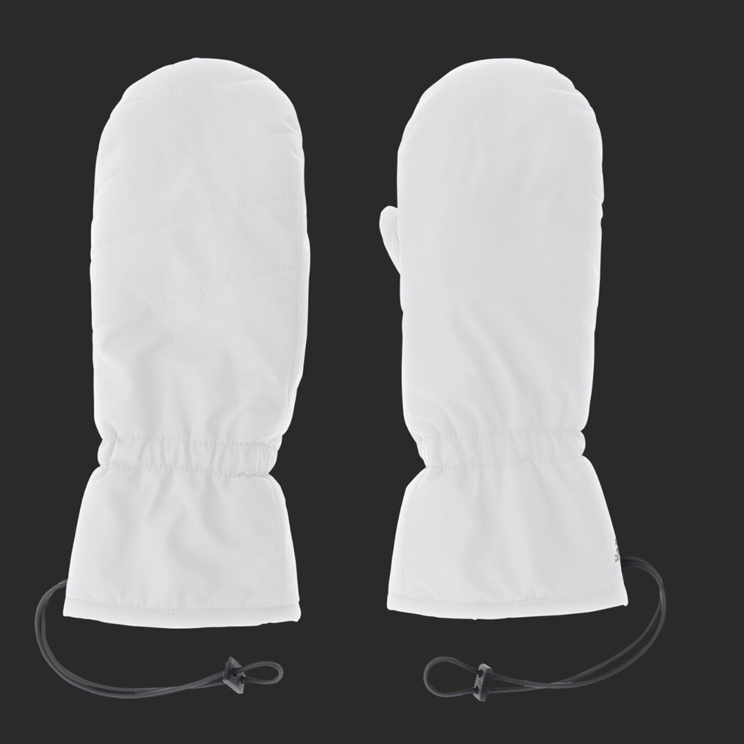 Laminar Gloves in Gore-Tex Infinium Windstopper and Teddy Tech in Ice
