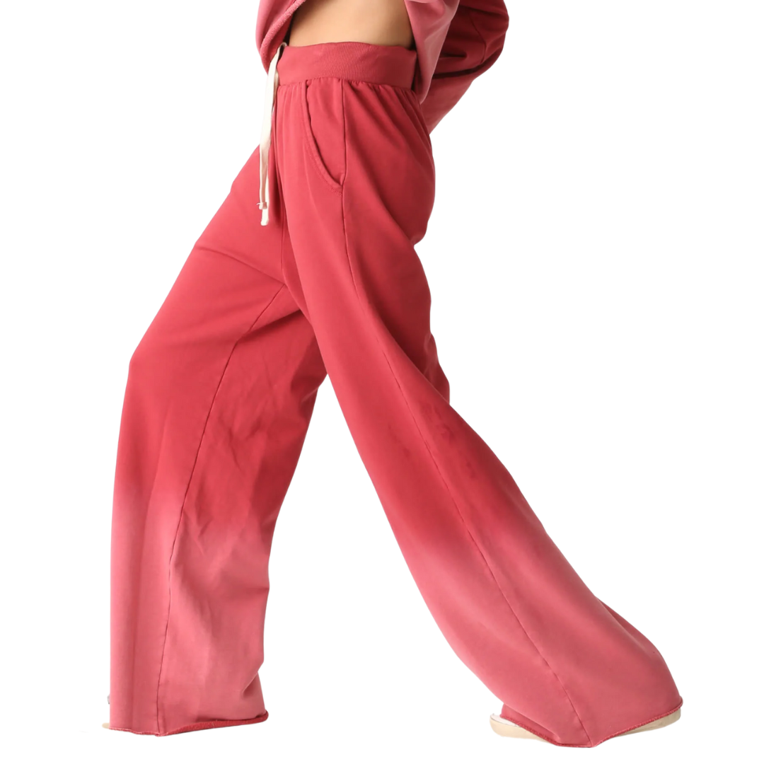Palisade Pant in Sunbleach Brick Red