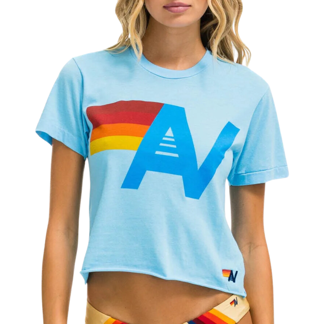 Logo Boyfriend Tee in Ice