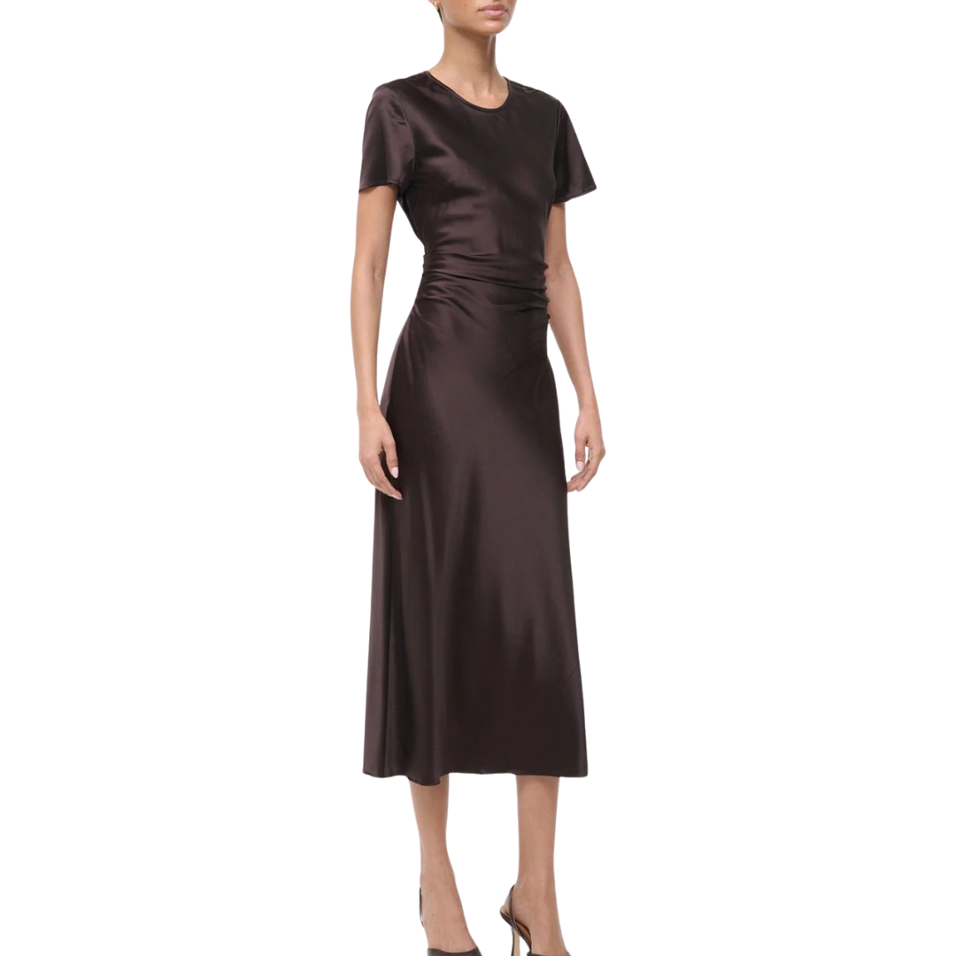 Marcel Silk Dress in Earth