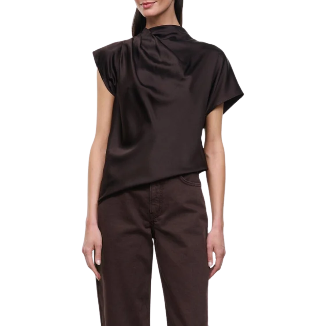 Davina Silk Top in Earth