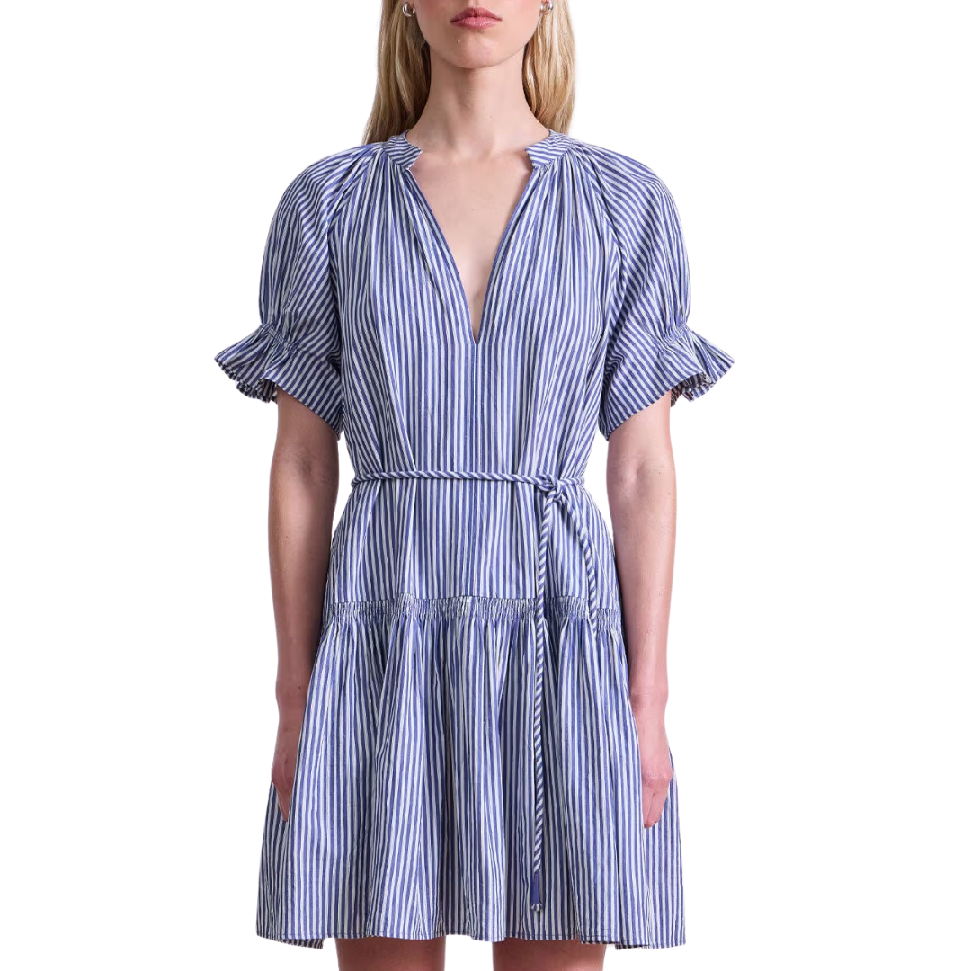 Marza Mini Dress in Skinny Stripes
