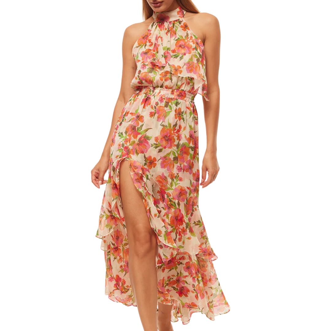 Aneva Dress in Palmarei Blooms
