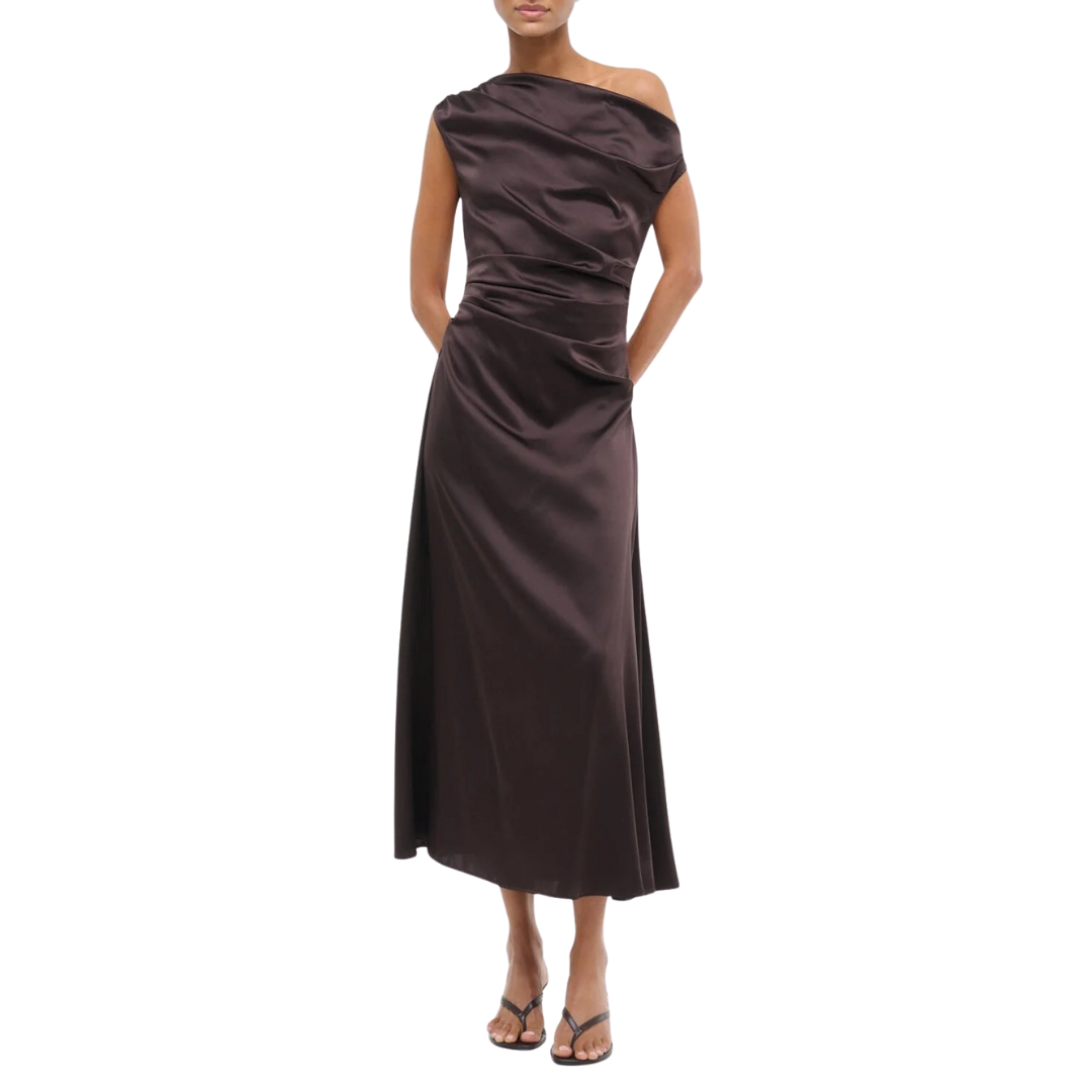 Phare Silk Dress in Earth