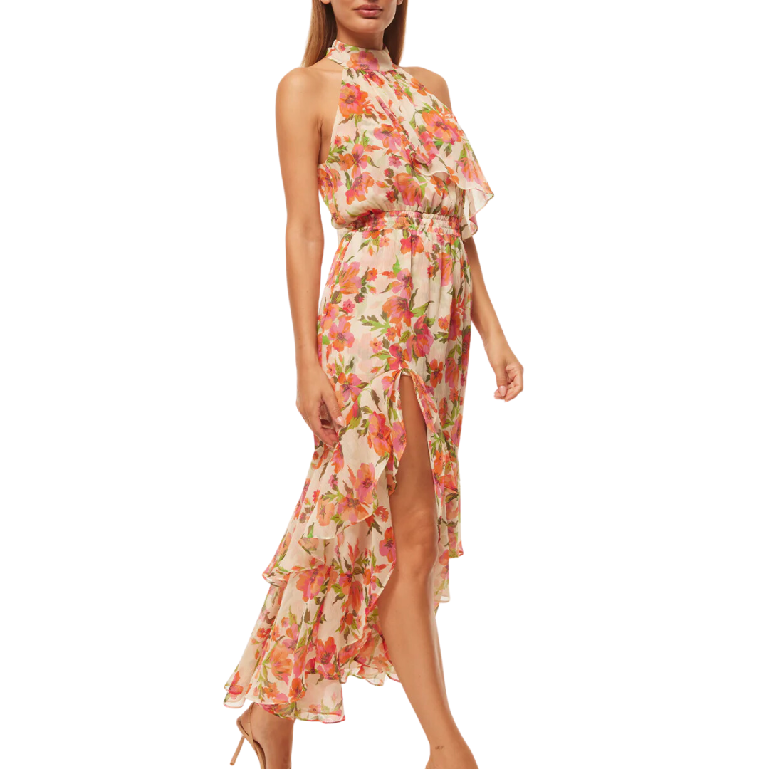 Aneva Dress in Palmarei Blooms