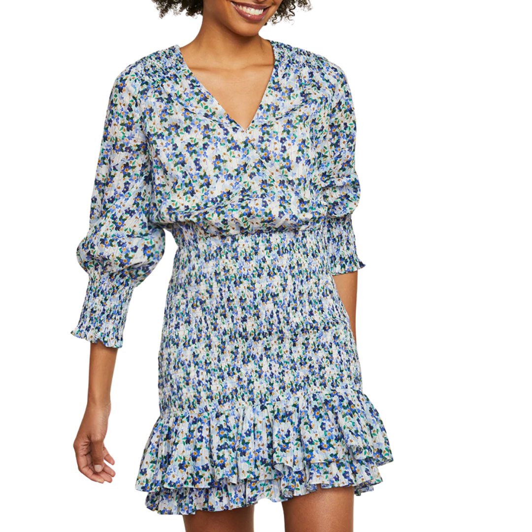 Darrah Smocked Dress in Cobalt Multi