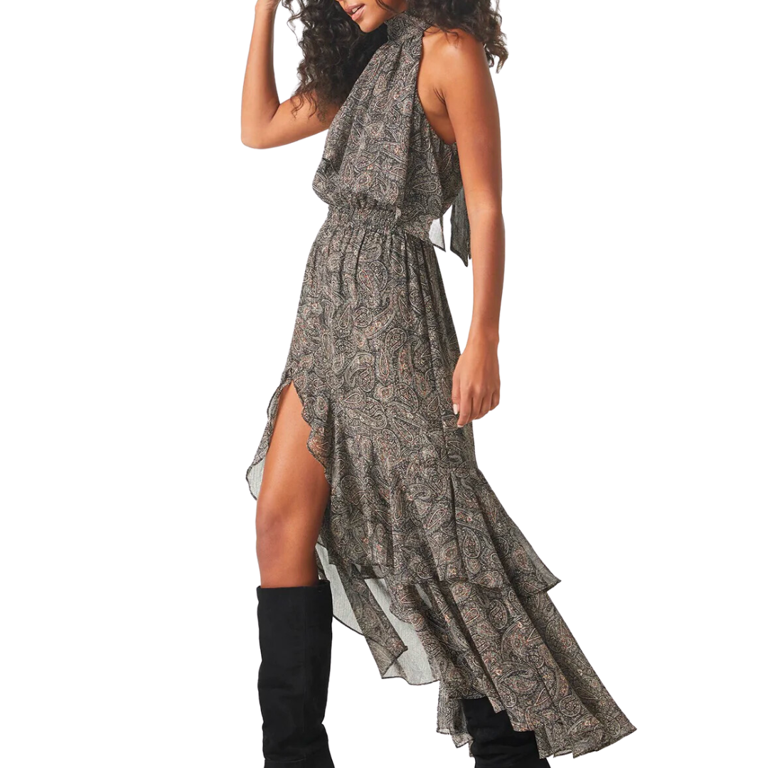 Aneva Dress in Paisley Shimmer