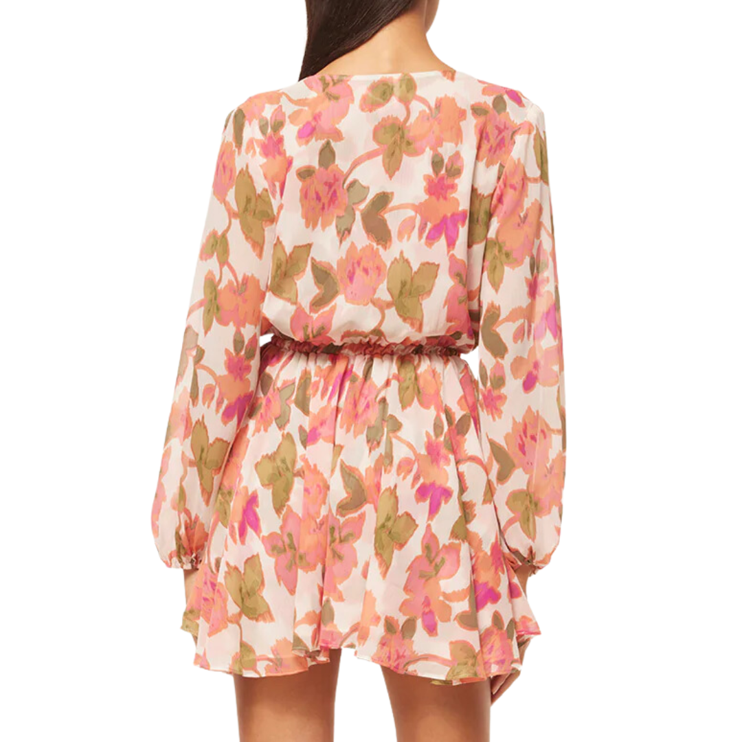 Caria Dress in Sonoran Flora Chiffon