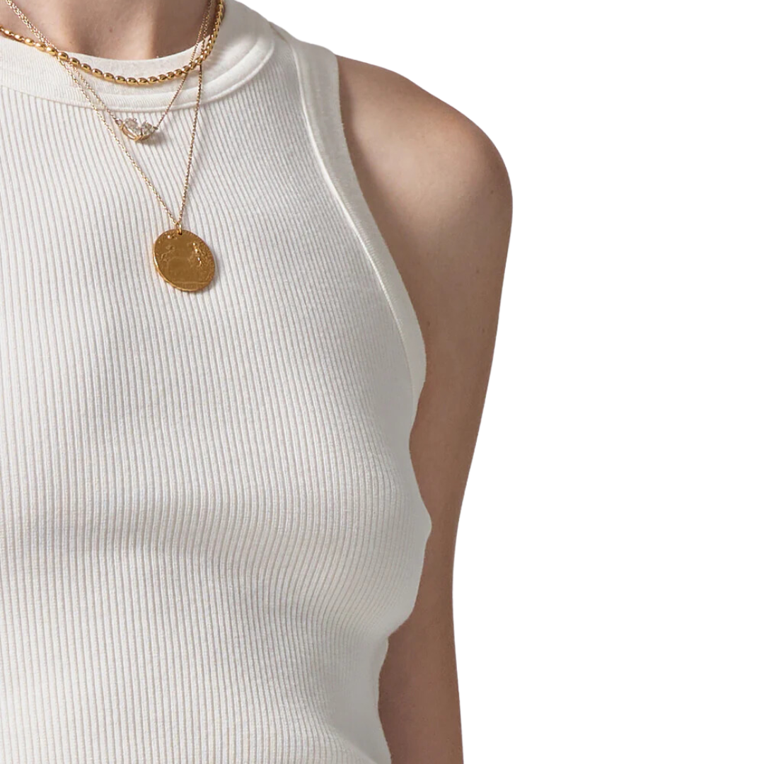 Isabel Rib Tank in Pashmina