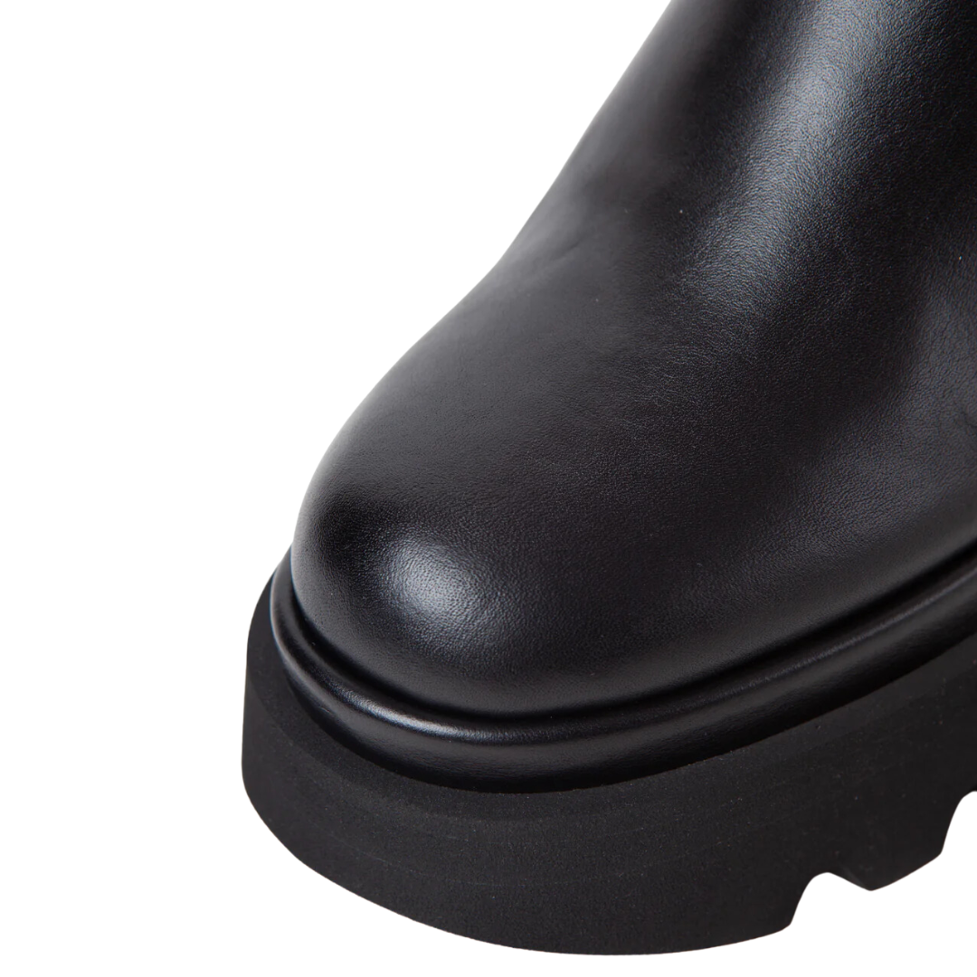 Osian in Iris Black
