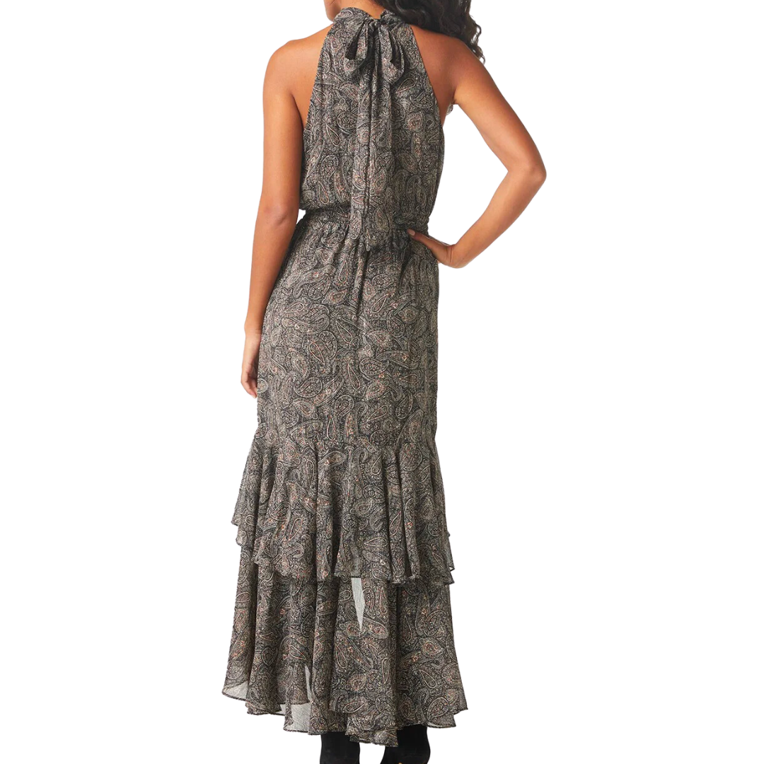 Aneva Dress in Paisley Shimmer