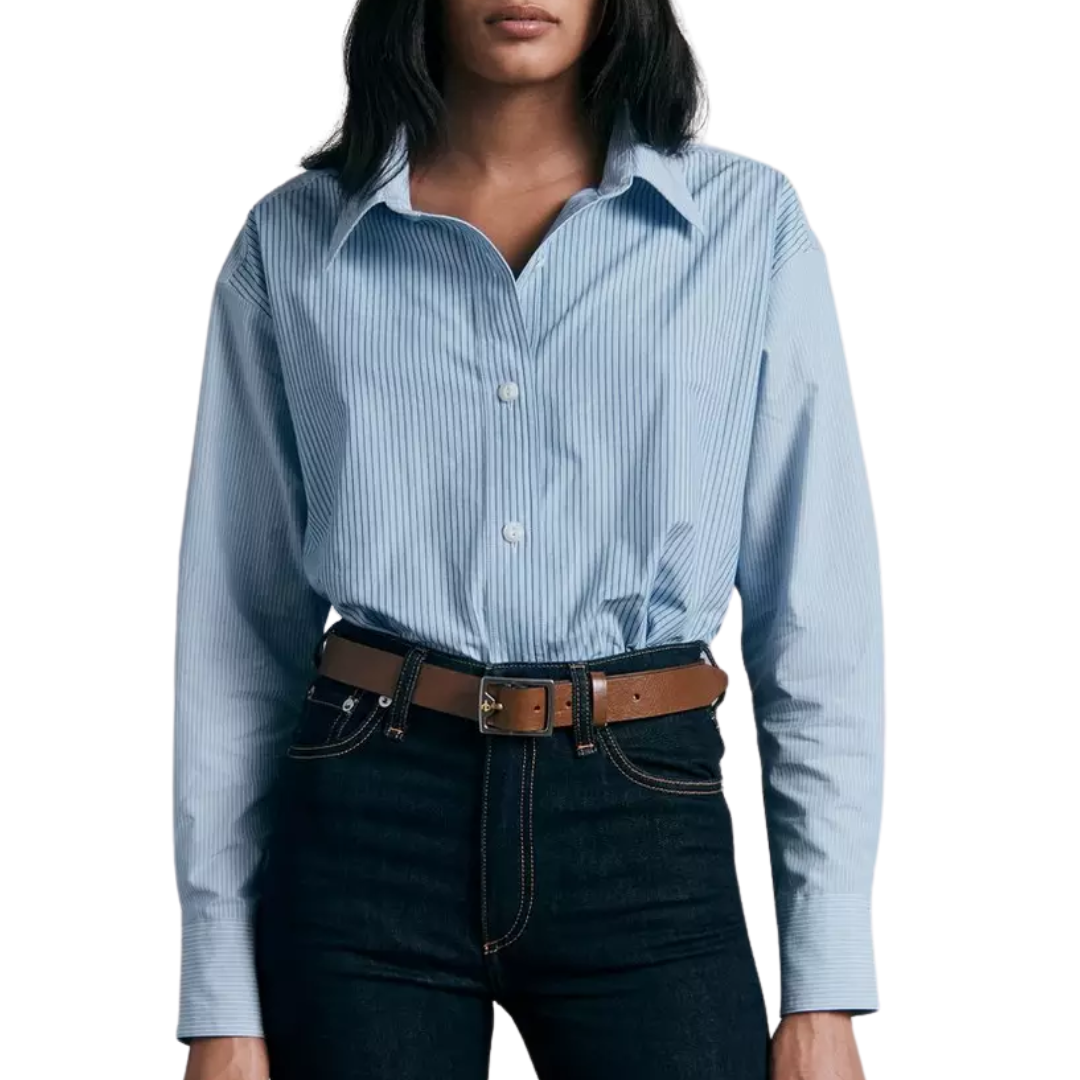 Kenna Cotton Button Down Stripe Shirt in Light Blue Stripe