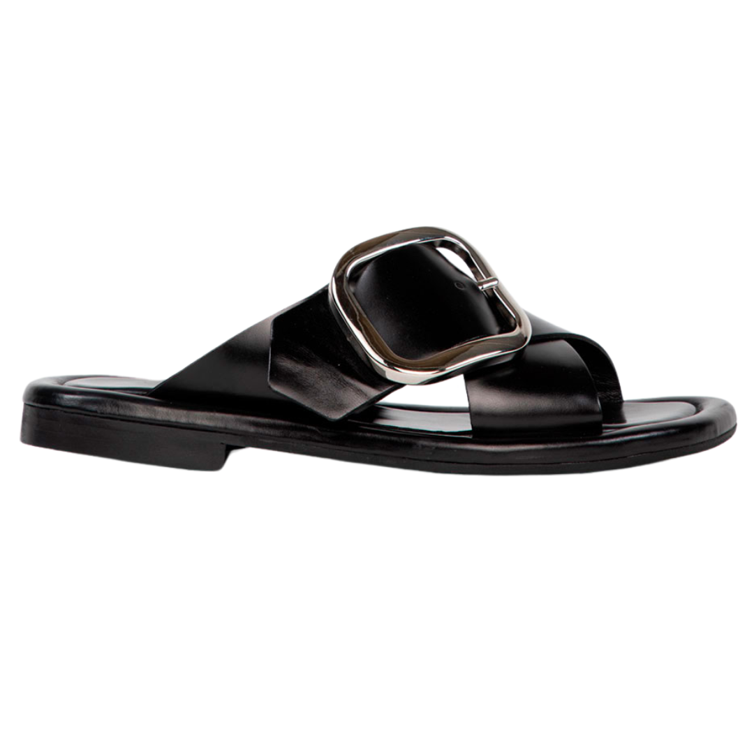 Dalia in Sierra Black