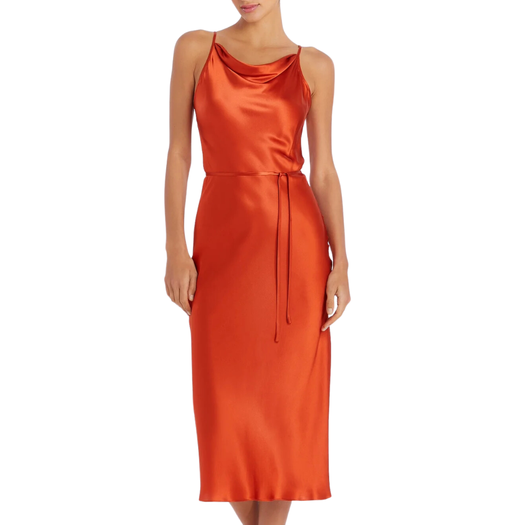 Shaelyn Silk Dress in Rhubarb