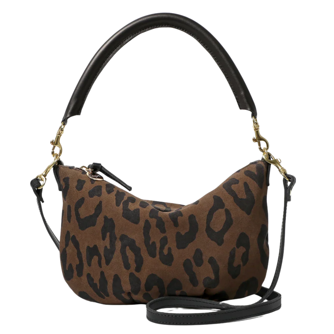 Petit Moyen in Cocoa Pablo Cat