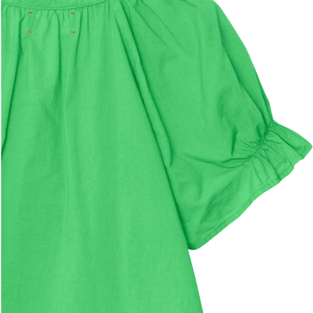 Astryde Top in Green Leaf
