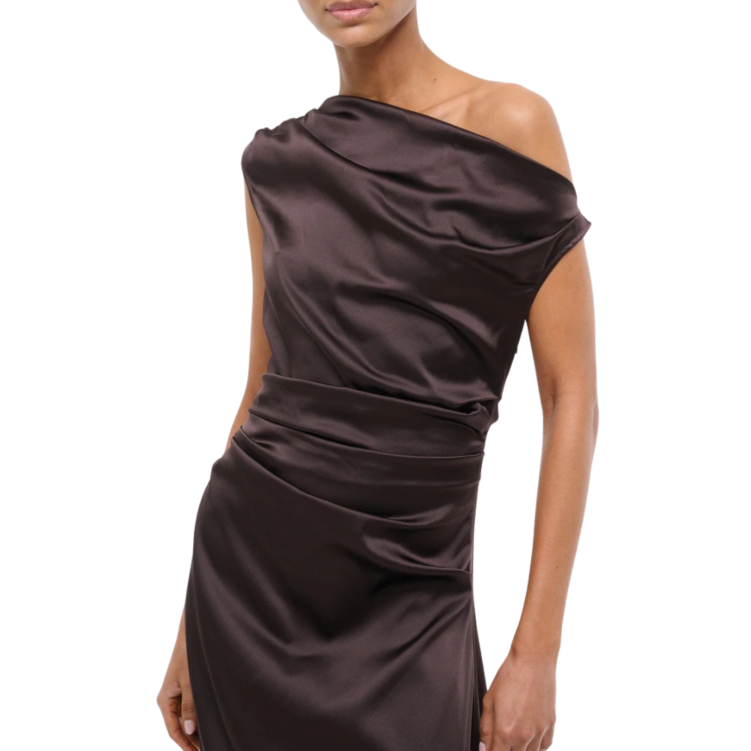 Phare Silk Dress in Earth