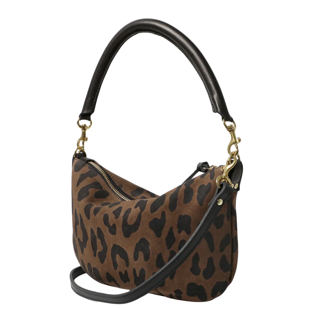 Petit Moyen in Cocoa Pablo Cat