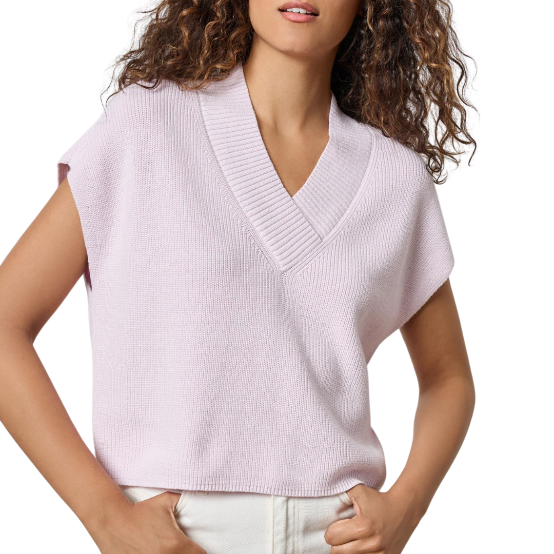 Wide Trim V-Neck Sweater in Freesia