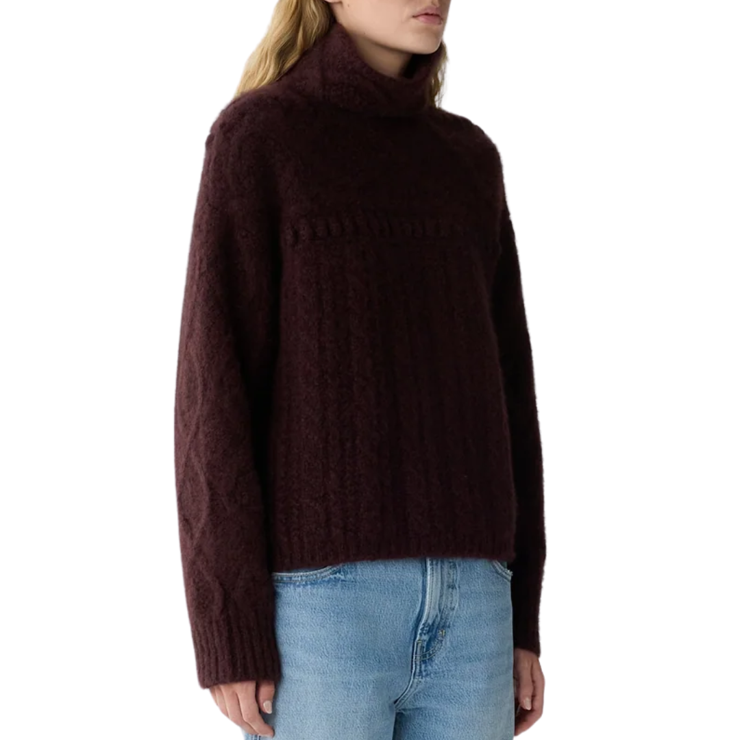 Super Cloud Turtleneck in Fig