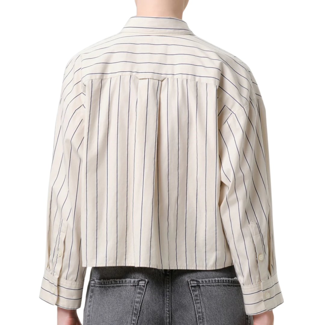Petit Ami Shirt in Ramble Stripe